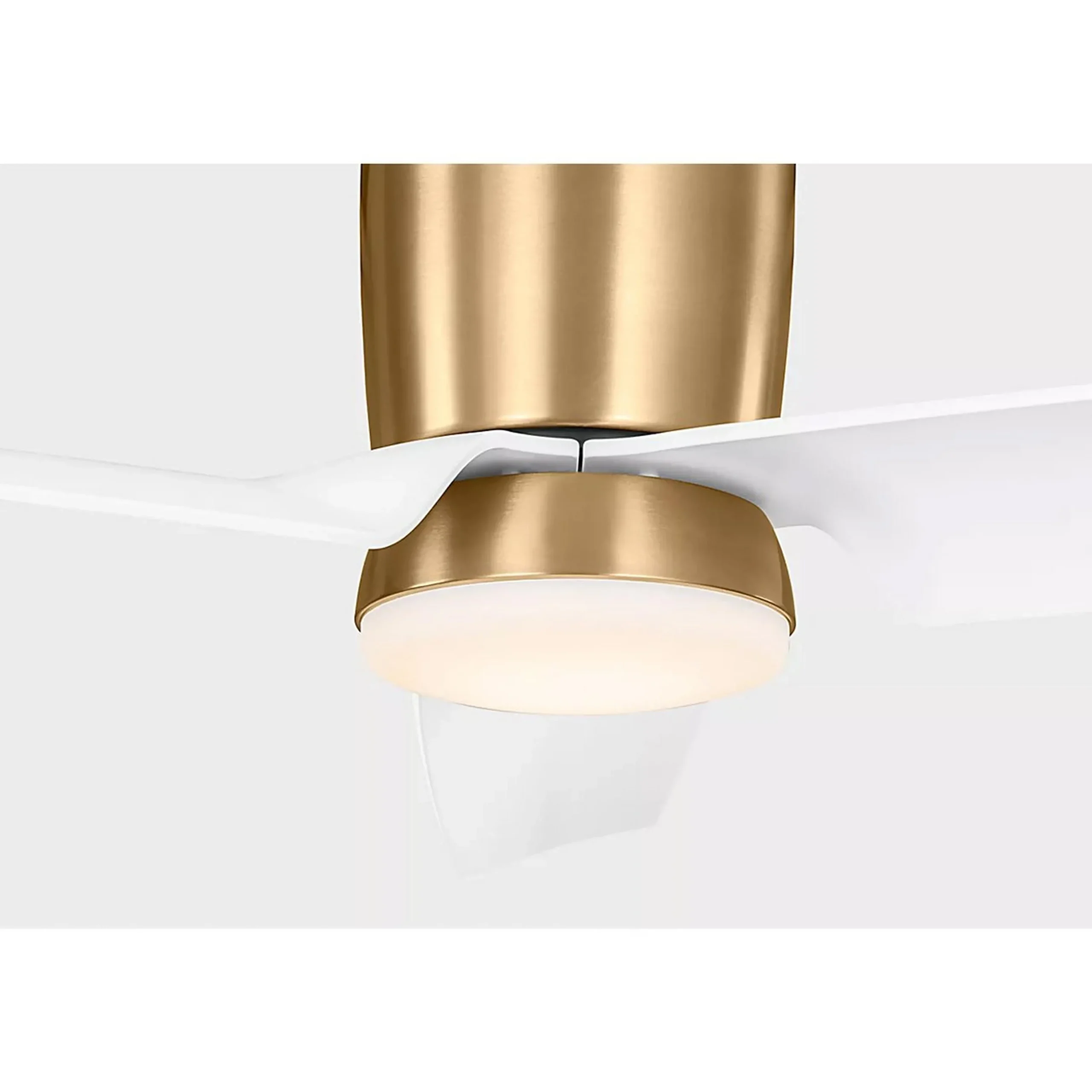 56" Colgin Indoor / Outdoor LED Ceiling Fan