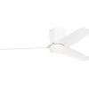 56" Colgin Indoor / Outdoor LED Ceiling Fan