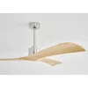 60" Electra Smart Ceiling Fan