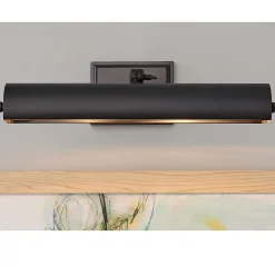 16" Incandescence Traditional Picture Light