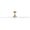 62" Joan Indoor / Outdoor Smart LED Ceiling Fan