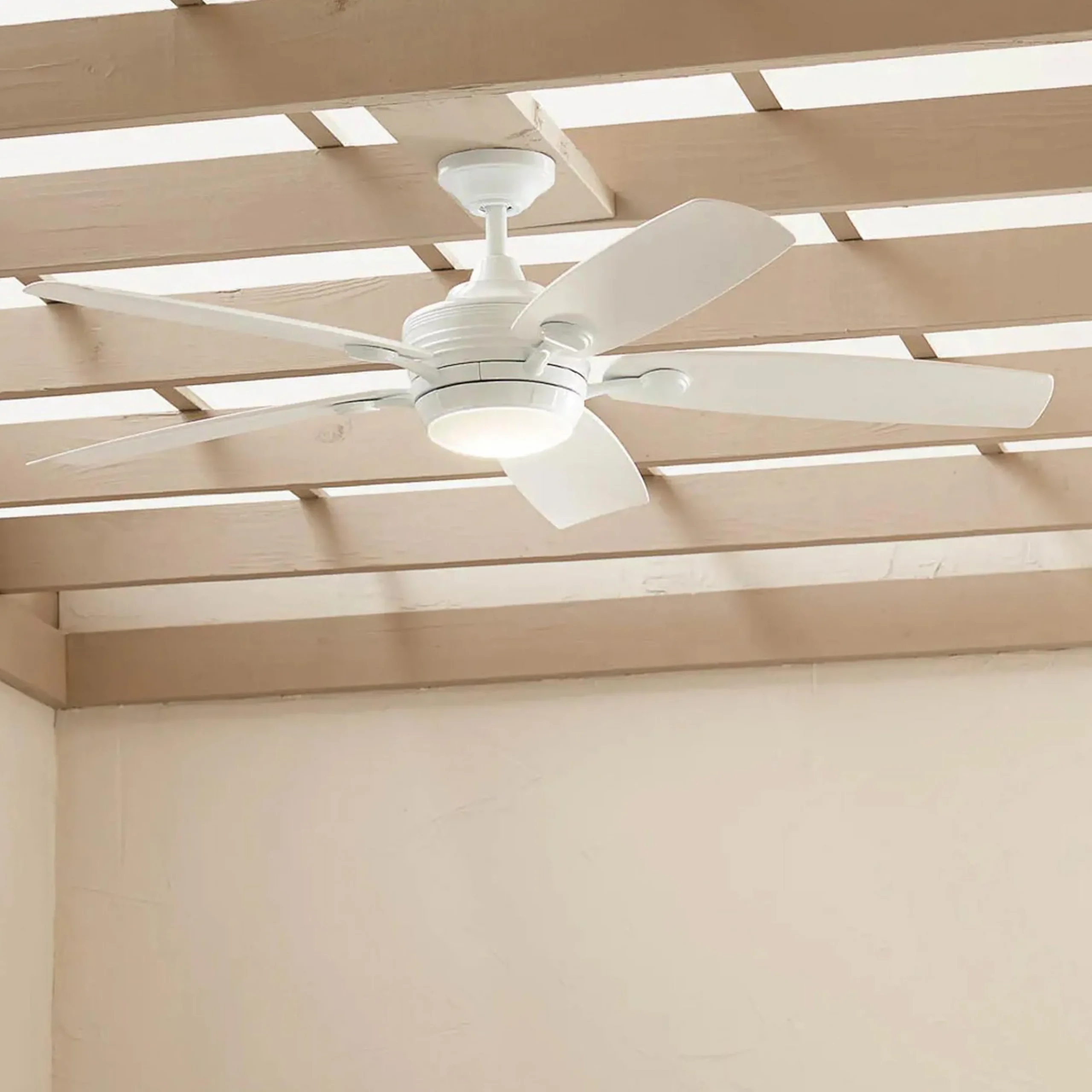56" Newgate Indoor / Outdoor Ceiling Fan