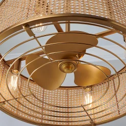 25" Transitional Sommer Ceiling Fandelier