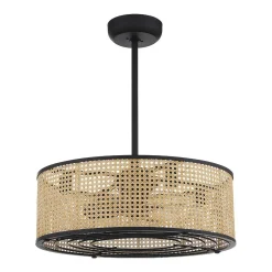 25" Transitional Sommer Ceiling Fandelier