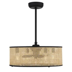 25" Transitional Sommer Ceiling Fandelier