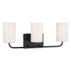 Akita Vanity Light - 3 Light