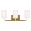 Akita Vanity Light - 3 Light