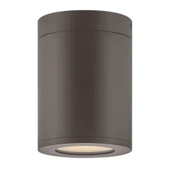 Alistair Outdoor Ceiling Light