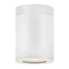 Alistair Outdoor Ceiling Light