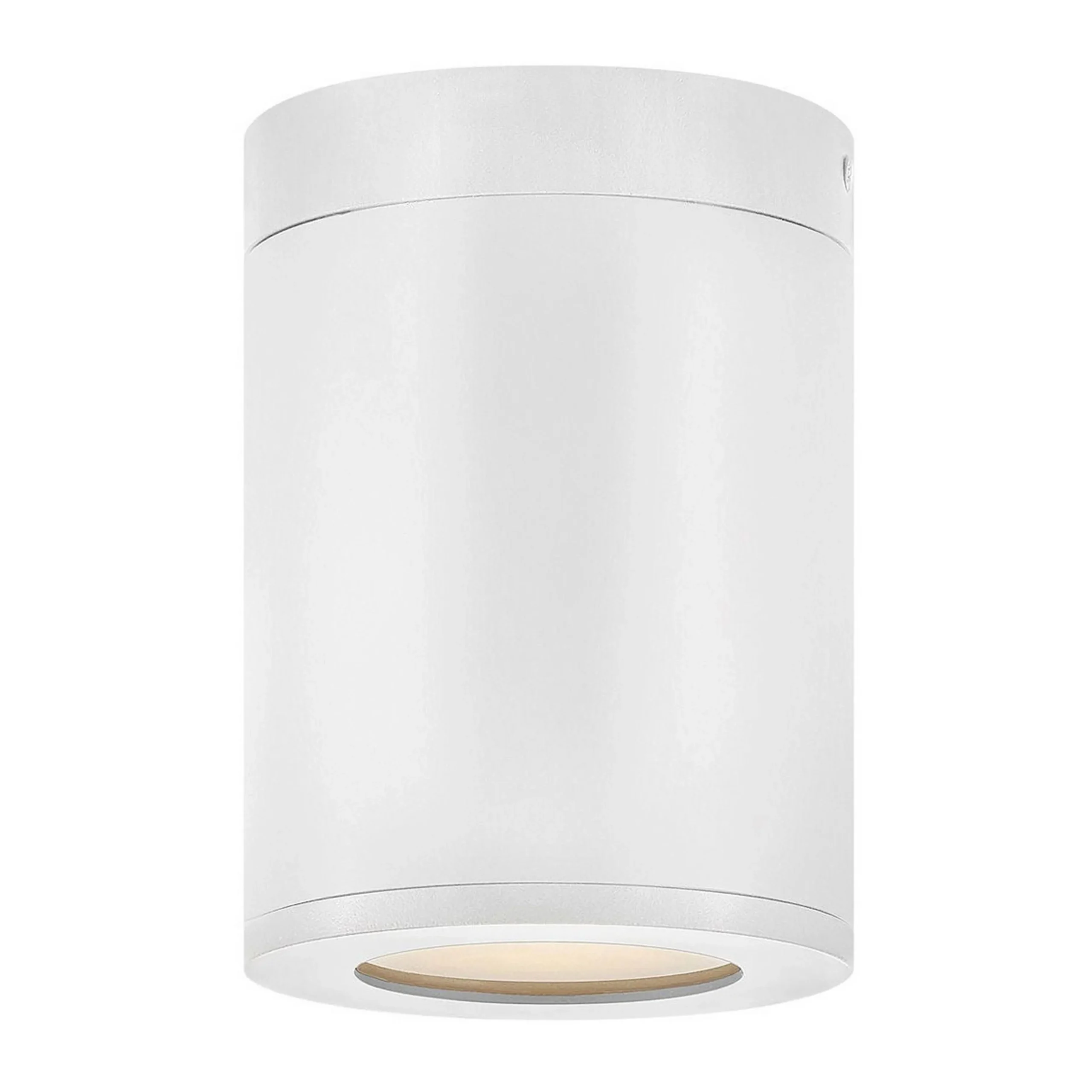 Alistair Outdoor Ceiling Light