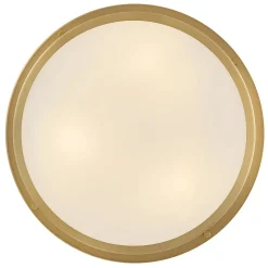 Altus Ceiling Light