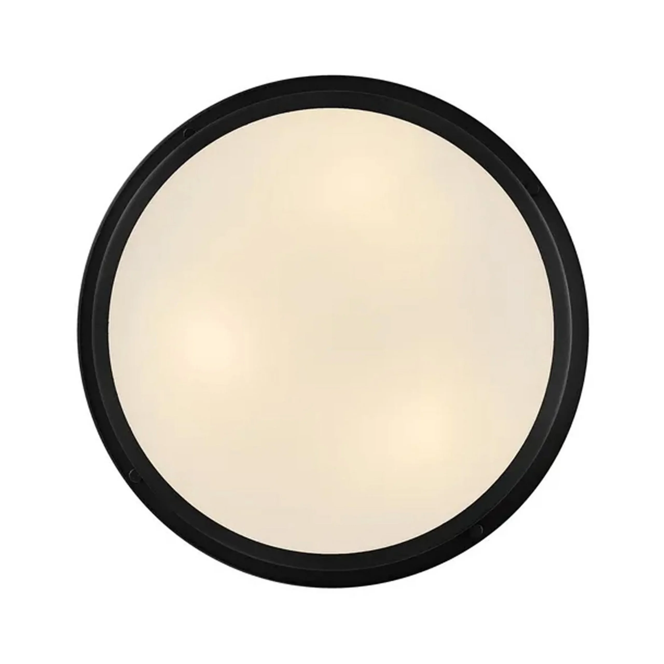 Altus Ceiling Light