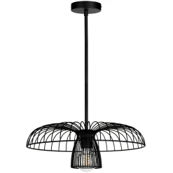 Alyssa Convertible Ceiling Light