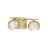 Anika Vanity Light - 2 Light