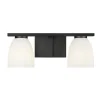 Arete Vanity Light - 2 Light