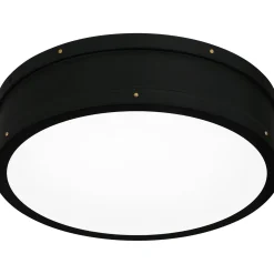 Arleigh LED Ceiling Light