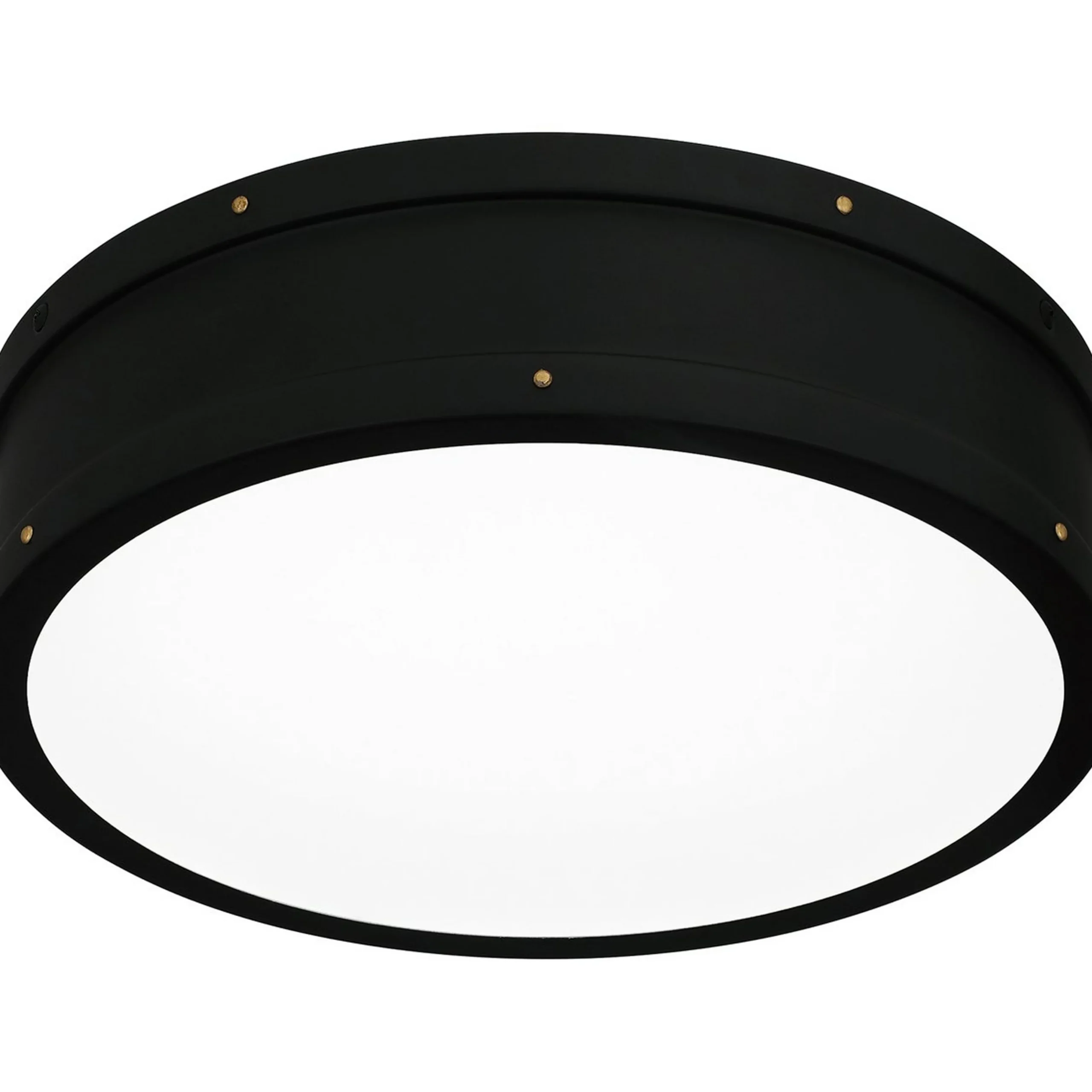 Arleigh LED Ceiling Light