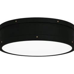 Arleigh LED Ceiling Light