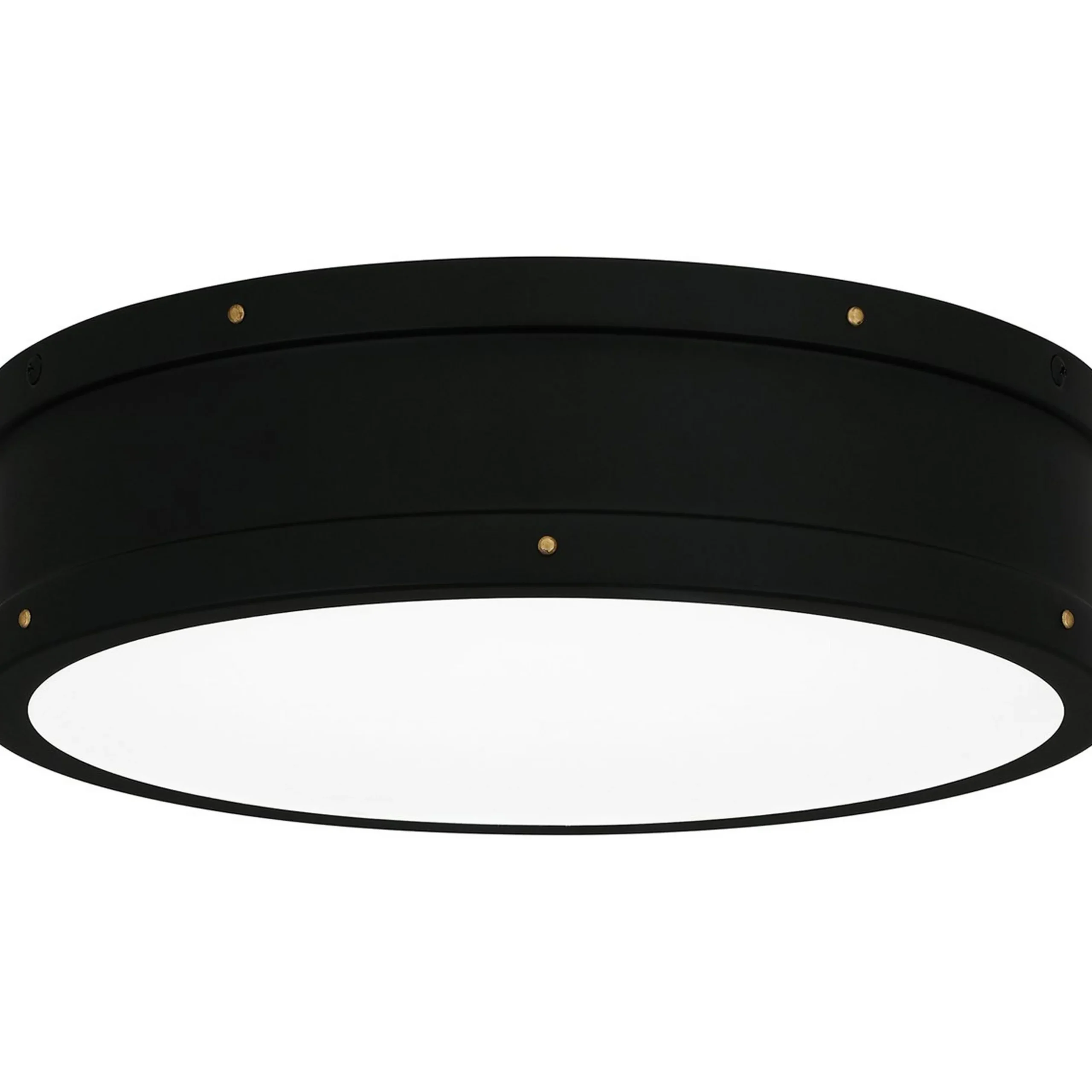Arleigh LED Ceiling Light