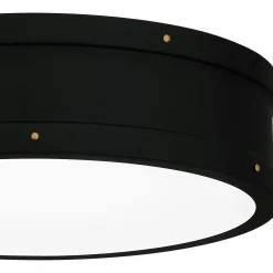 Arleigh LED Ceiling Light