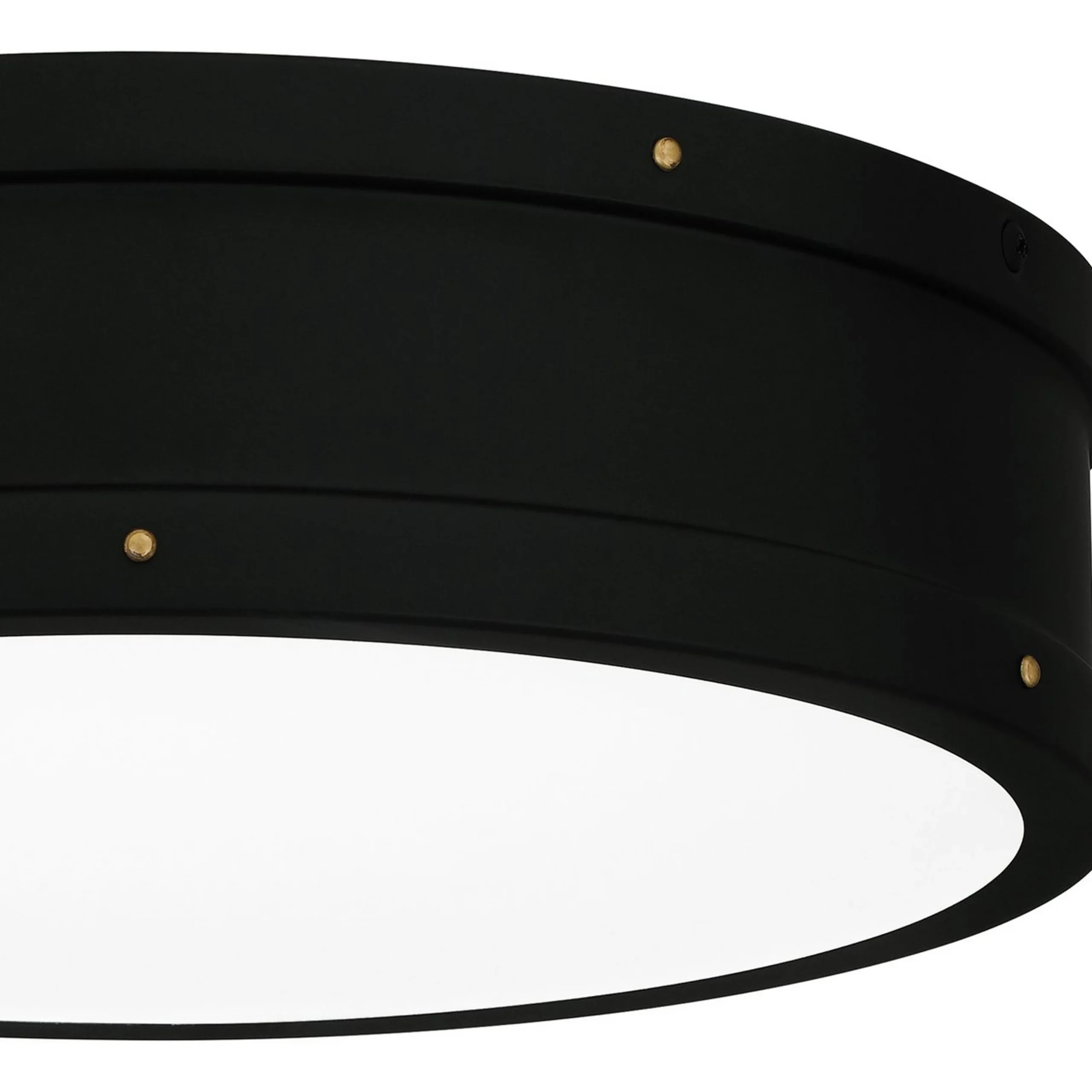 Arleigh LED Ceiling Light