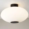 Astraios LED Ceiling Light