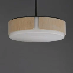 Avenir Convertible Chandelier