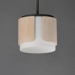 Avenir Convertible Pendant
