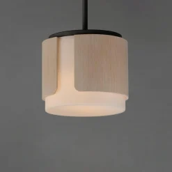 Avenir Convertible Pendant