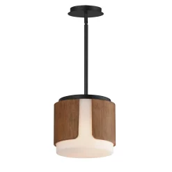 Avenir Convertible Pendant