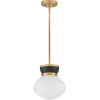 Baltic Pendant