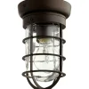 Blissful Boathouse Outdoor Ceiling Light