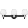 Blossom Vanity Light - 3 Light
