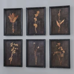 Botanica Noir Prints - Set of 6