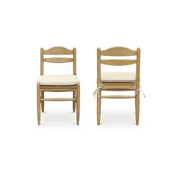Brizo Dining Chair - Set of 2