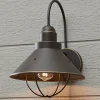 Caboose Outdoor Sconce - Large