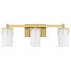 Canarsie Vanity Light - 3 Light