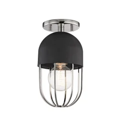 Capsule Cage Ceiling Light