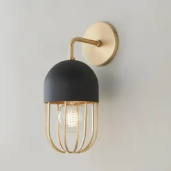 Capsule Cage Sconce