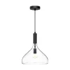 Carigan Pendant - Clear