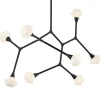 Celestial Constellation Chandelier - 8 Light