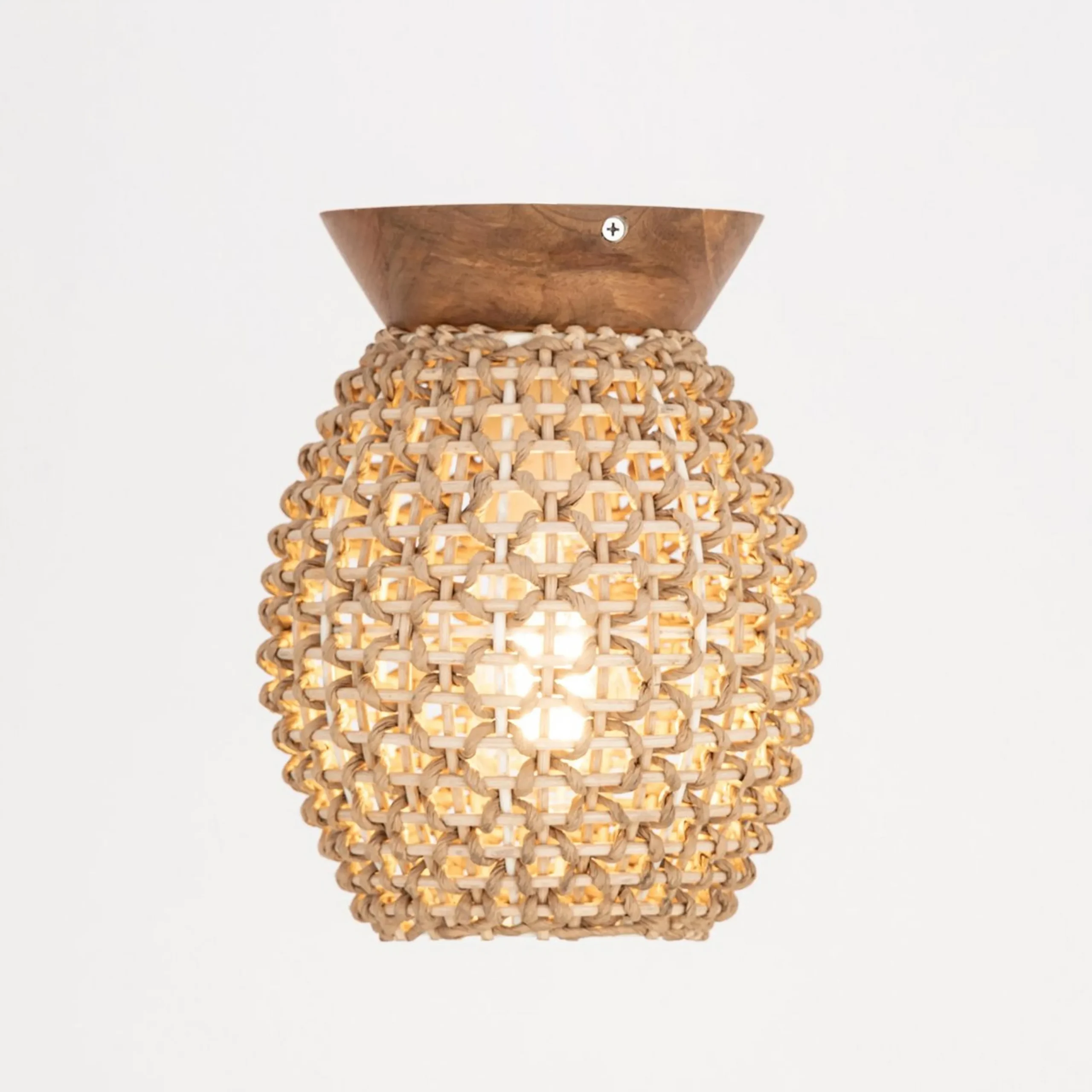Chrysalis Ceiling Light