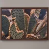 Closeup Cactus Photo Print