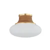 Clove Ceiling Light - Small