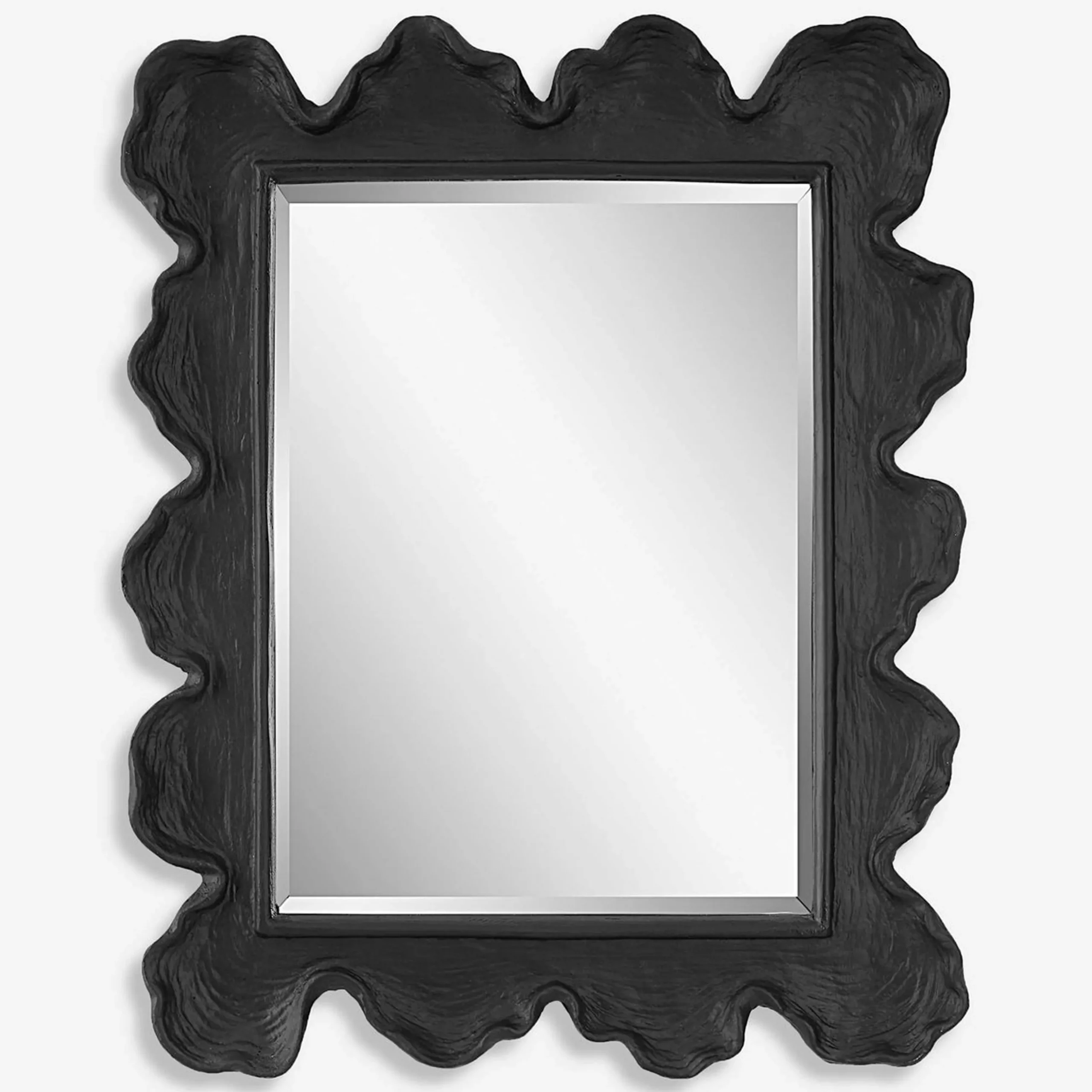 Coral Curve Mirror - Rectangle