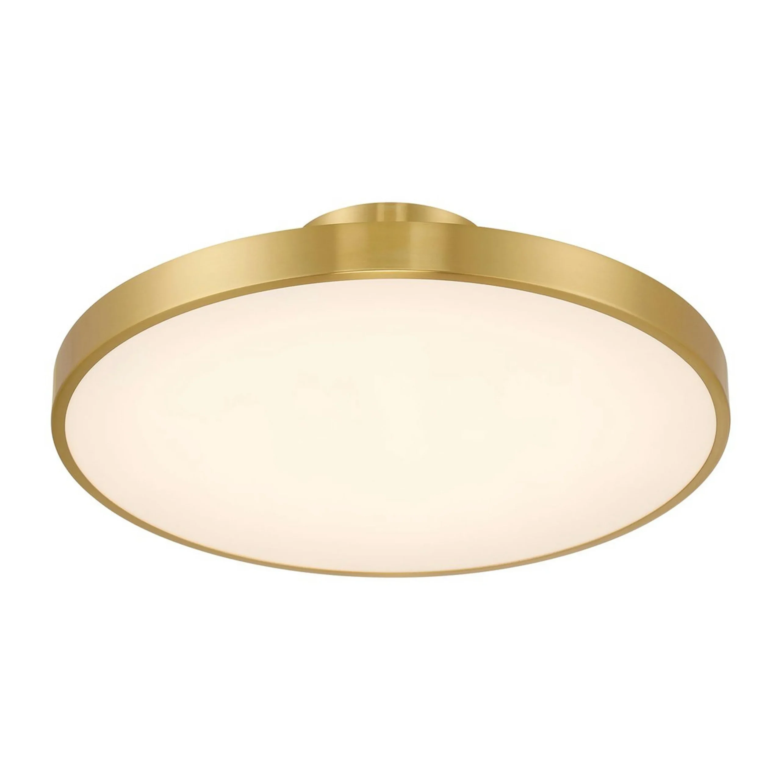 Deandra LED Ceiling Light
