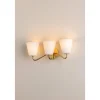Delmar Vanity Light - 3 Light