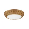 Demeter Rattan Ceiling Light - Small