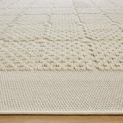 Dimilia Indoor / Outdoor Rug