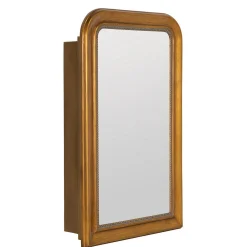 Drewry Medicine Cabinet Mirror